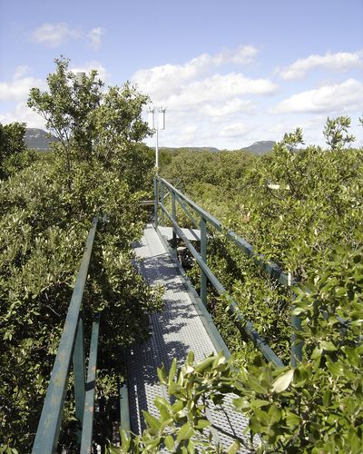 overview