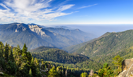 overview
